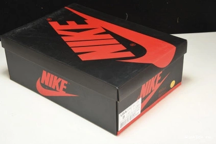 LOW AIR 1 JORDAN 1208